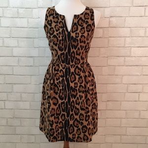 Ann Taylor LOFT leopard dress